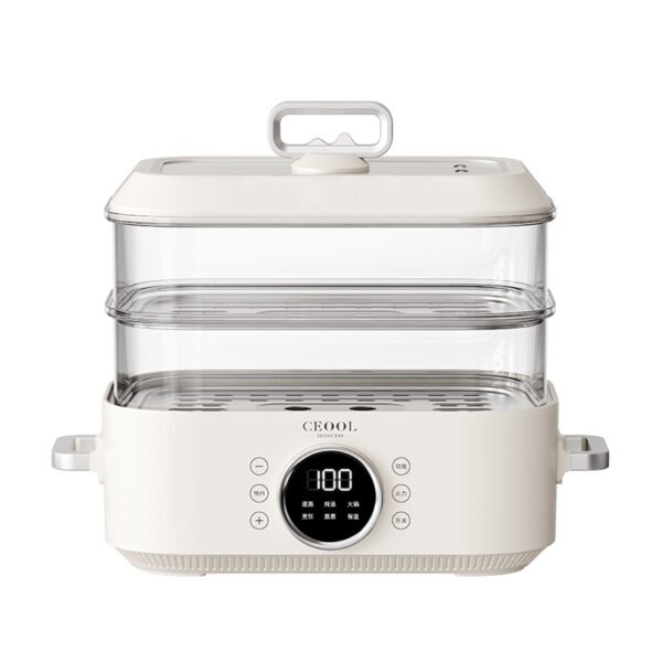 Electric steamer-ZG08 - Image 2