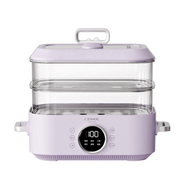 Electric steamer-ZG08 - Image 3
