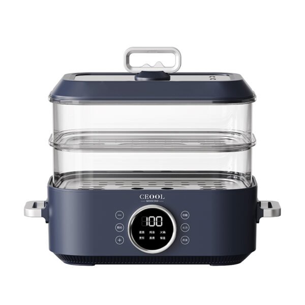Electric steamer-ZG08 - Image 8