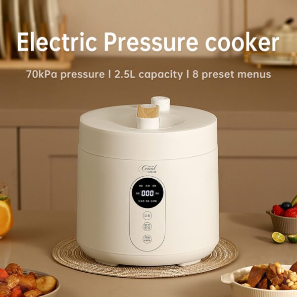 Rice cooker