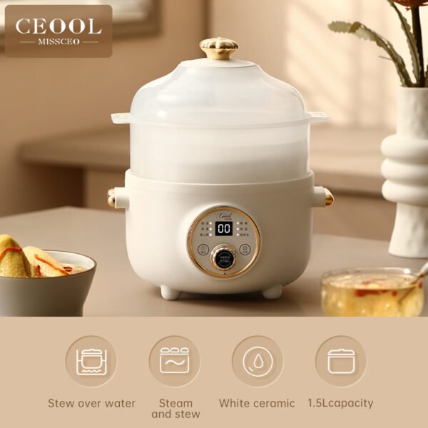 Slow cooker-15D